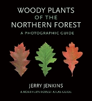 Book Cover for Woody Plants of the Northern Forest by Jerry Jenkins