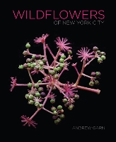 Book Cover for Wildflowers of New York City by Andrew Garn