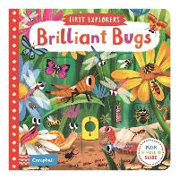 Book Cover for Brilliant Bugs by Campbell Books