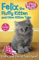 Book Cover for Felix the Fluffy Kitten and Other Kitten Tales by Jenny Dale, Jenny Dale