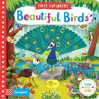 Book Cover for Beautiful Birds by Campbell Books