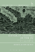 Book Cover for Illegally Staying in the EU by Benedita Menezes European University Institute Queiroz