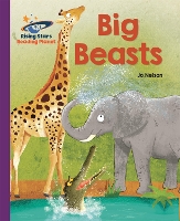 Book Cover for Big Beasts by Katie Daynes