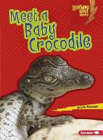 Book Cover for Meet a Baby Crocodile by Jon Fishman