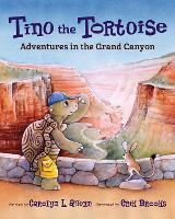 Book Cover for Tino the Tortoise by Carolyn L. Ahern