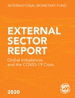 Book Cover for External sector report by International Monetary Fund