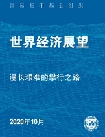 Book Cover for World Economic Outlook, October 2020 (Chinese Edition) by International Monetary Fund