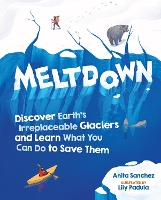 Book Cover for Meltdown by Anita Sanchez