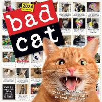 Book Cover for Bad Cat Wall Calendar 2024 by Workman Calendars