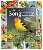 Book Cover for Audubon Songbirds and Other Backyard Birds Picture-A-Day Wall Calendar 2024 by National Audubon Society, Workman Calendars