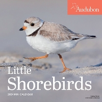 Book Cover for Audubon Little Shorebirds Mini Wall Calendar 2024 by National Audubon Society, Workman Calendars