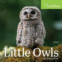 Book Cover for Audubon Little Owls Mini Wall Calendar 2024 by Workman Calendars