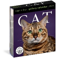 Book Cover for Cat Page-A-Day Gallery Calendar 2024 by Workman Calendars