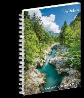 Book Cover for Audubon Engagement Calendar 2024 by National Audubon Society, Workman Calendars
