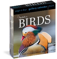 Book Cover for Audubon Birds Page-A-Day Gallery Calendar 2024 by National Audubon Society, Workman Calendars