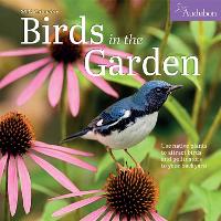Book Cover for Audubon Birds in the Garden Wall Calendar 2024 by National Audubon Society, Workman Calendars