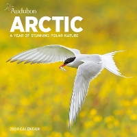 Book Cover for Audubon Arctic Wall Calendar 2024 by National Audubon Society, Workman Calendars