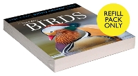 Book Cover for Audubon Birds Page-A-Day Gallery Calendar Refill Pack 2024 by Workman Calendars