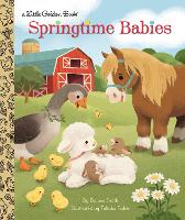 Book Cover for Springtime Babies by Danna Smith, Takako Fisher