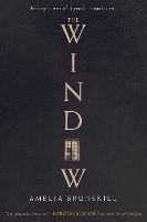 Book Cover for The Window by Amelia Brunskill