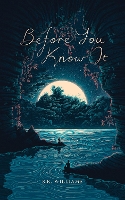 Book Cover for Before You Know It by SK Williams