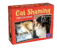 Book Cover for Cat Shaming 2025 Day-to-Day Calendar by Pedro Andrade