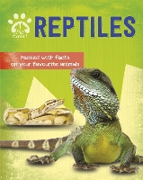 Book Cover for Pet Expert: Reptiles by Gemma Barder