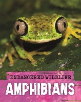 Book Cover for Amphibians by Anita Ganeri