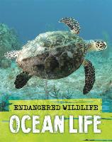 Book Cover for Endangered Wildlife: Rescuing Ocean Life by Anita Ganeri