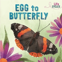 Book Cover for Egg to Butterfly by Rachel Tonkin