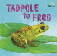Book Cover for Tadpole to Frog by Rachel Tonkin