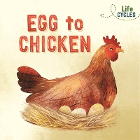 Book Cover for Life Cycles: Egg to Chicken by Rachel Tonkin