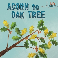 Book Cover for Acorn to Oak Tree by Rachel Tonkin
