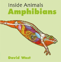 Book Cover for Inside Animals: Amphibians by David West