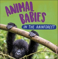 Book Cover for Animal Babies: In the Rainforest by Sarah Ridley