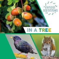 Book Cover for Explore Ecosystems: In a Tree by Sarah Ridley
