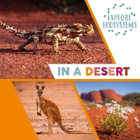 Book Cover for Explore Ecosystems: In a Desert by Sarah Ridley