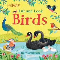 Book Cover for Kew: Lift and Look Birds by Tracy Cottingham