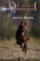 Book Cover for Enter Donegal by Laurie Brady