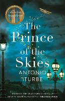 Book Cover for The Prince of the Skies by Antonio Iturbe