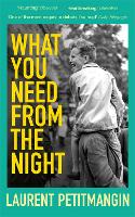 Book Cover for What You Need From The Night by Laurent Petitmangin