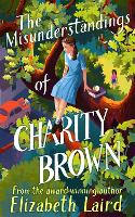 Book Cover for The Misunderstandings of Charity Brown by Elizabeth Laird