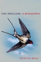 Book Cover for The Swallow by Stephen Moss