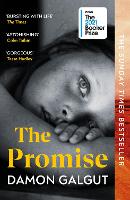 Book Cover for The Promise by Damon Galgut