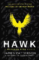 Book Cover for Hawk by James Patterson