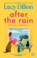 Book Cover for After the Rain by Lucy Dillon