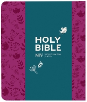 Book Cover for NIV Journalling Plum Soft-tone Bible with Clasp by New International Version