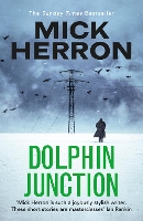 Book Cover for Dolphin Junction by Mick Herron