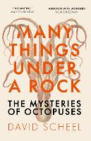Book Cover for Many Things Under a Rock by David Scheel