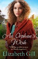 Book Cover for An Orphan's Wish by Elizabeth Gill